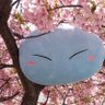 赤い彗星のリムル 的头像