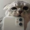Profilbild von Md Arif