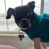 Cynthia Hicks's profile picture
