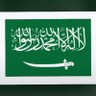 Profilbild von لاإله الا انت سبحانك