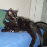meme's profile picture
