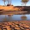 Фото профиля عبد العزيز الجميعة