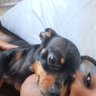 kilo Romeu Sierra's profile picture