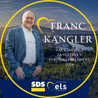Franc Kangler's profile picture