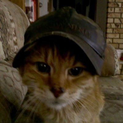 killian¿'s profile picture