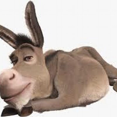 gaprietorico's profile picture