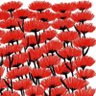 Jose Almeida's profile picture