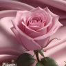 ♡ profil fotoğrafı