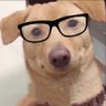 Profilbild von 电子宠物吃老墨