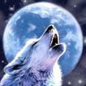 Moon@BCD 的头像