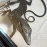 Фото профиля ANIMALS.ch