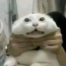 mome 的头像
