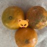 Profilbild von ช่วยปลูกส้ม🍊🍊🍊