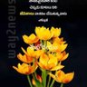 narasimharao23@yahoo.com 的头像