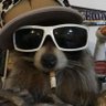 combatracoon🇺🇸🇺🇦🇮🇱 的头像