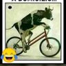 William 🇬🇹🇸🇻's profile picture