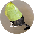 wifbag's profile picture