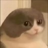 Profilbild von Monito