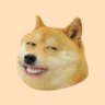hiennv's profile picture