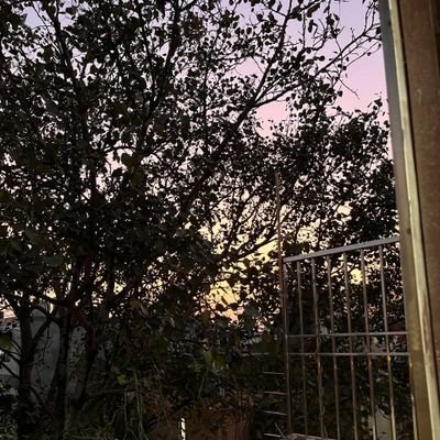 ☠!! हादसा !!☠ 𓅂(❛‿❛✿̶̥̥)'s profile picture