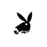 Фото профиля Donkey Rager