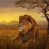 Profilbild von Lionheart