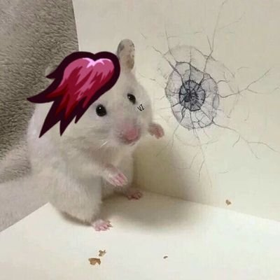 멍바's profile picture