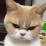 FON-B (ฝน)'s profile picture