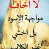 ام روان's profile picture