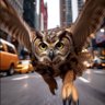OLAWALE profil fotoğrafı