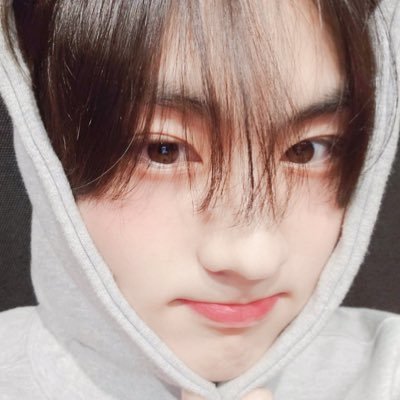 두부's profile picture