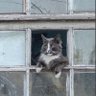 Дежавю на постоянке's profile picture