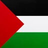 SirPastorMojito🇵🇸 🇱🇧 💙💚🌞's profile picture