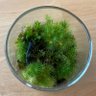 苔山 草一郎(Kokeyama Soichiro) 的头像