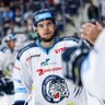 Profilbild von Kelly Klíma The Goat