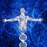 Profilbild von Homo Erectus
