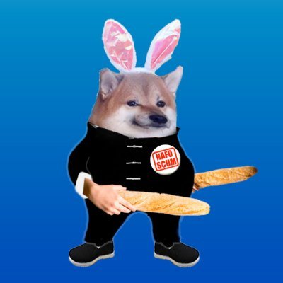 Fella S Bonkson 🇺🇸🇺🇦🇹🇼's profile picture