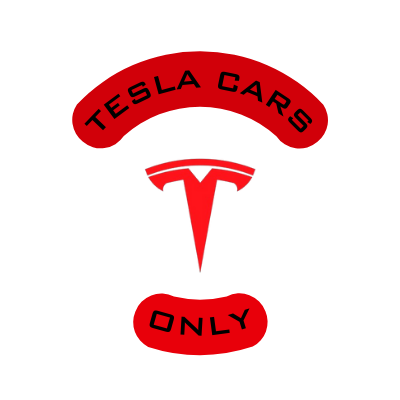 TESLA CARS ONLY.⚡'s profile picture