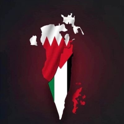 🇧🇭 بحرانية 🇵🇸's profile picture