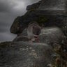 Фото профиля ゴブリン・モリス