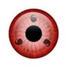 Saker's profile picture