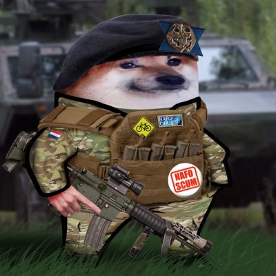 Fella Max33 🇺🇦 🇳🇱's profile picture