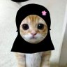 Milawati's profile picture