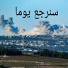Ali Ayoub's profile picture