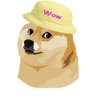 dogewifhat's profile picture