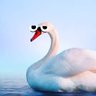 Фото профиля K. Swan Esq.