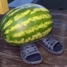 Timur's profile picture