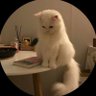 Razan 🪐's profile picture