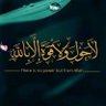 عزالدين بن محمد بن عامر's profile picture