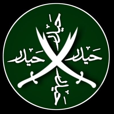 SHaiderRMehdi's profile picture